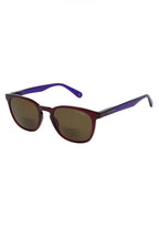 Ted Baker unisex non-prescription reader sunglasses in dark burgundy with rounded frames and tinted lenses.