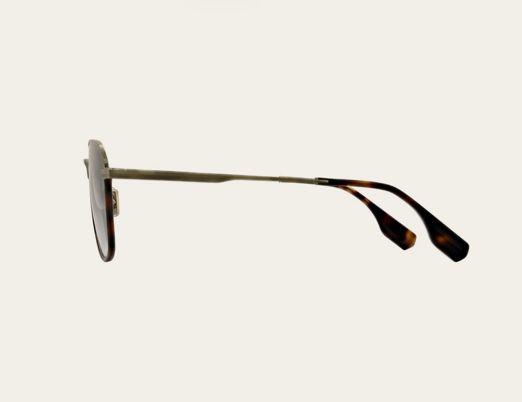 Ted Baker Mens Blyth Sunglasses TB1751