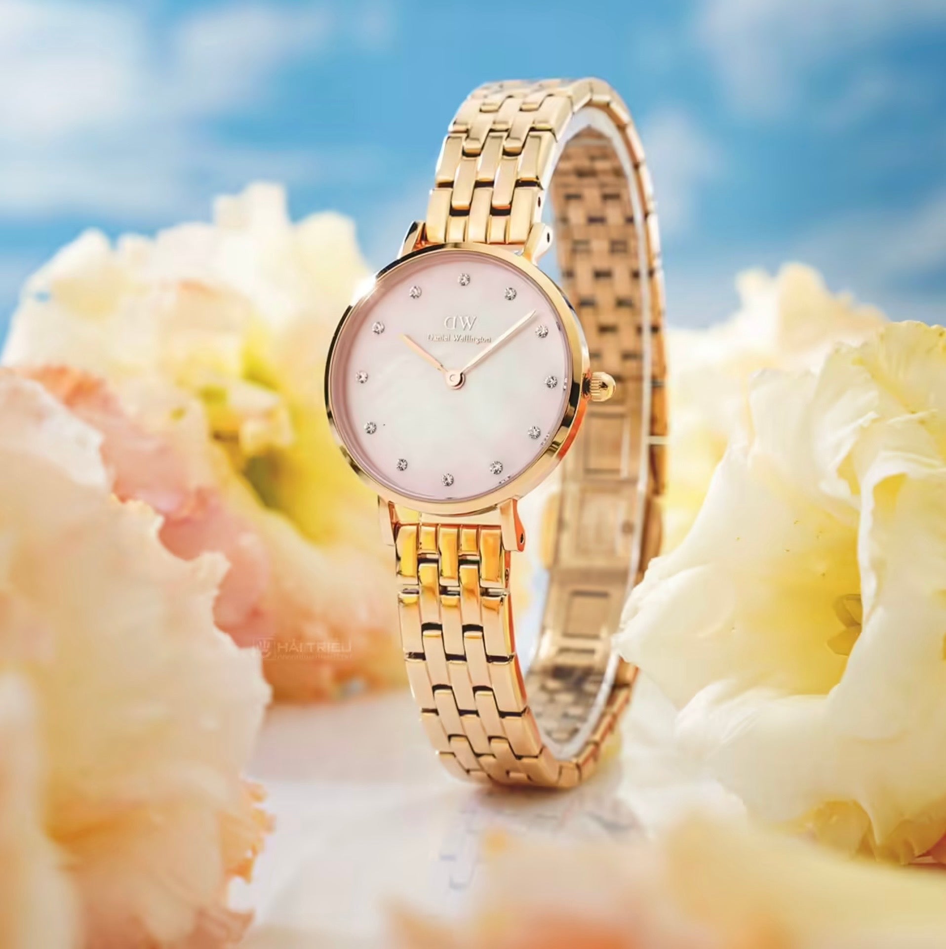 Daniel Wellington Womens Petite Lumine Melrose Watch Rose Gold DW00100617