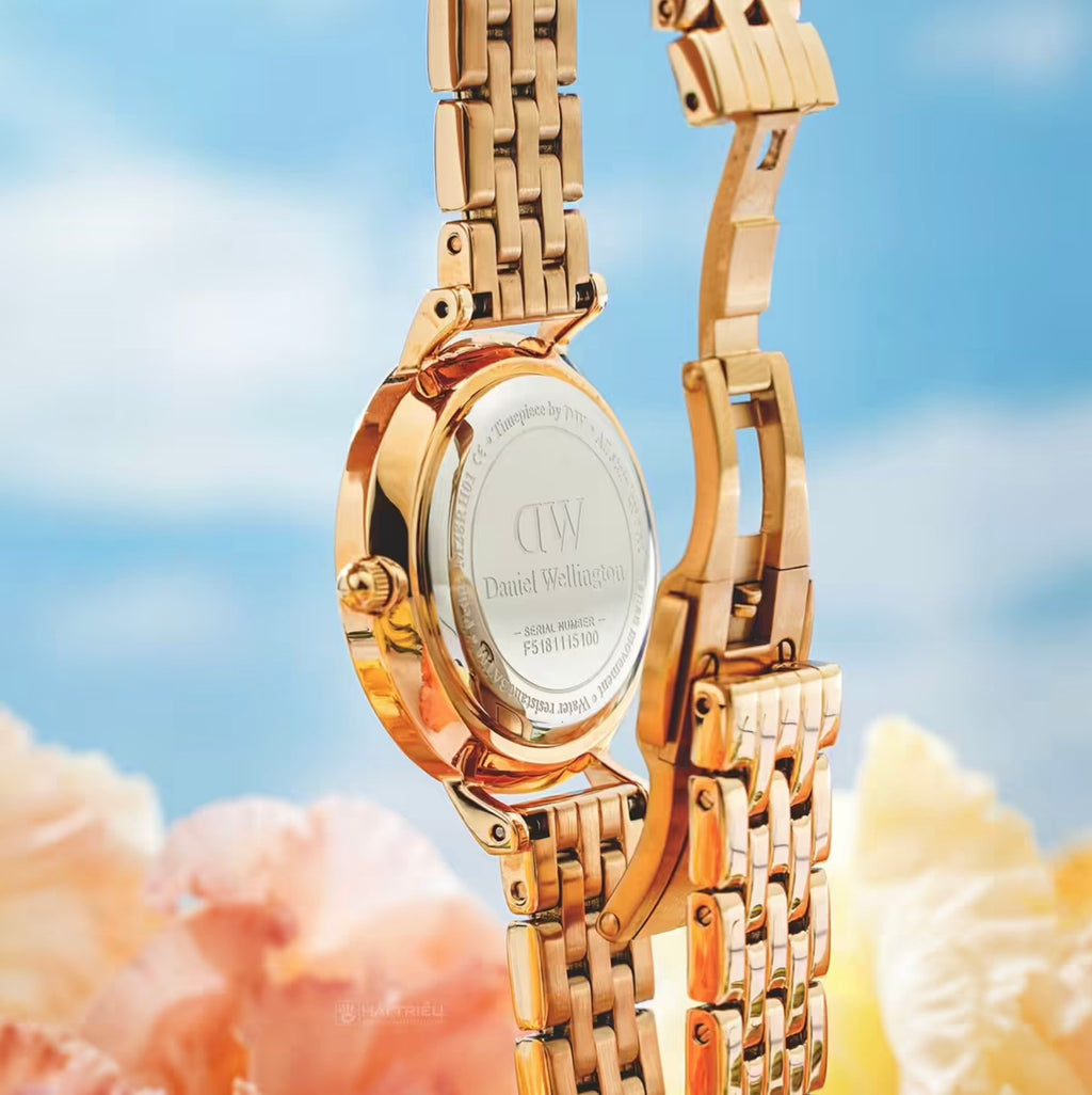 Daniel Wellington Womens Petite Lumine Melrose Watch Rose Gold DW00100617